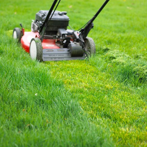 mowing the grass