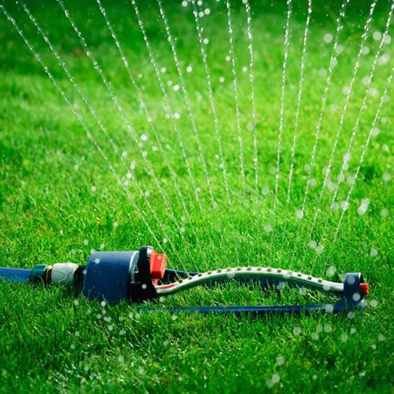 sprinkler watering the grass