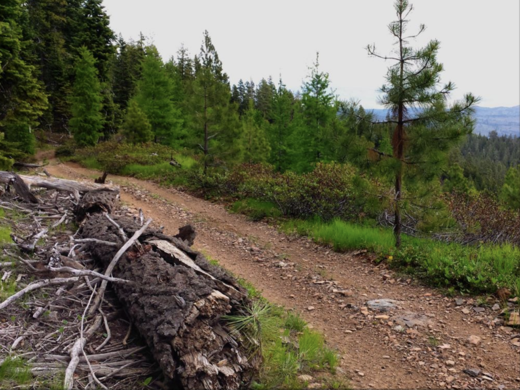 Atv trails in Oregon