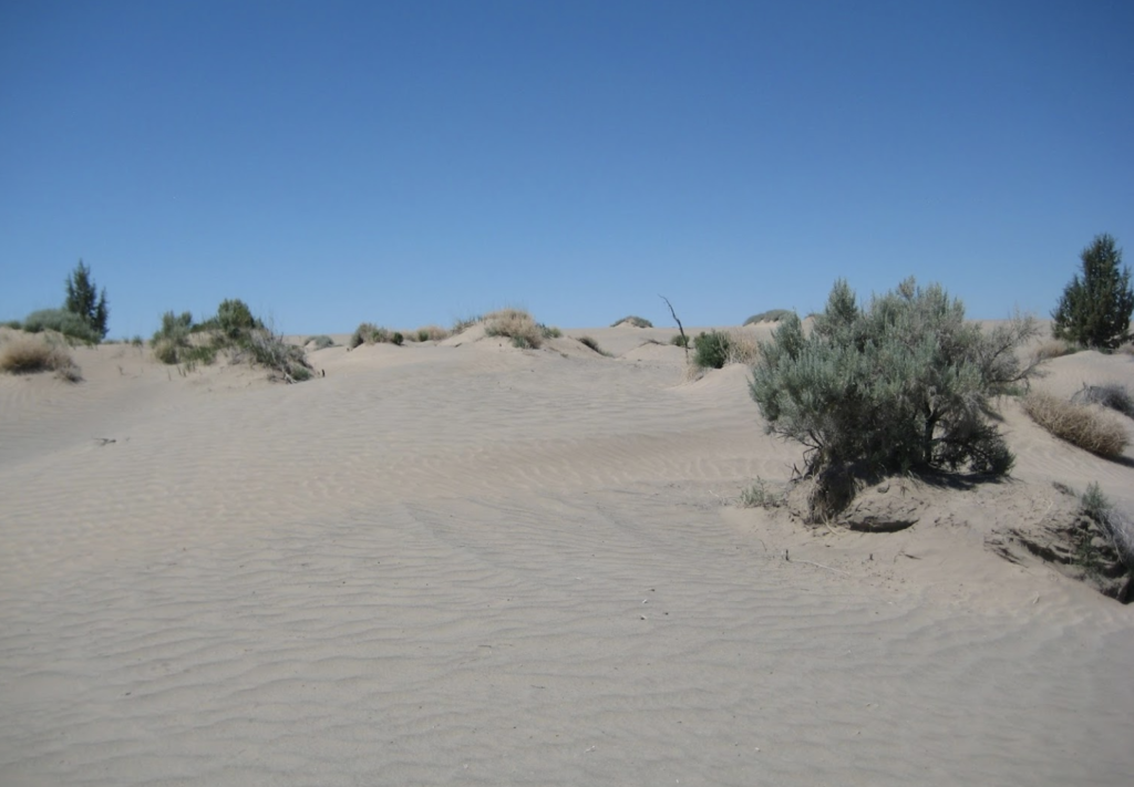 Sand bowl in the middle of Oregon