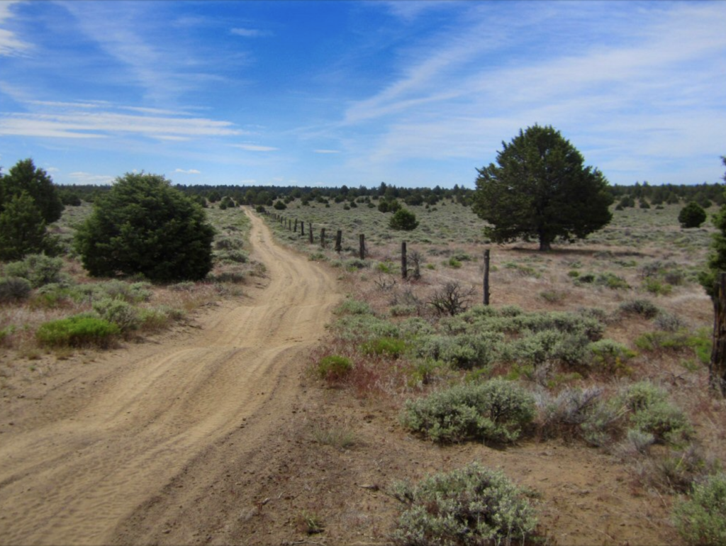 Dirt atv trail in Oregon