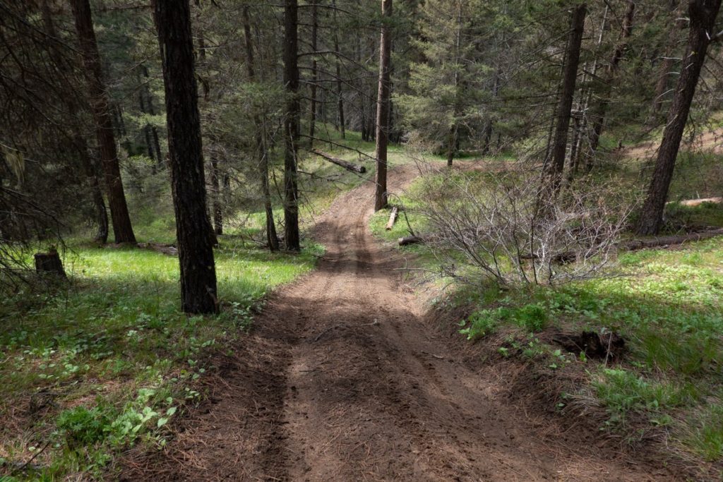 large atv trail system in the forest