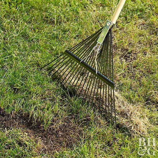 Racking the grass after a tough winter