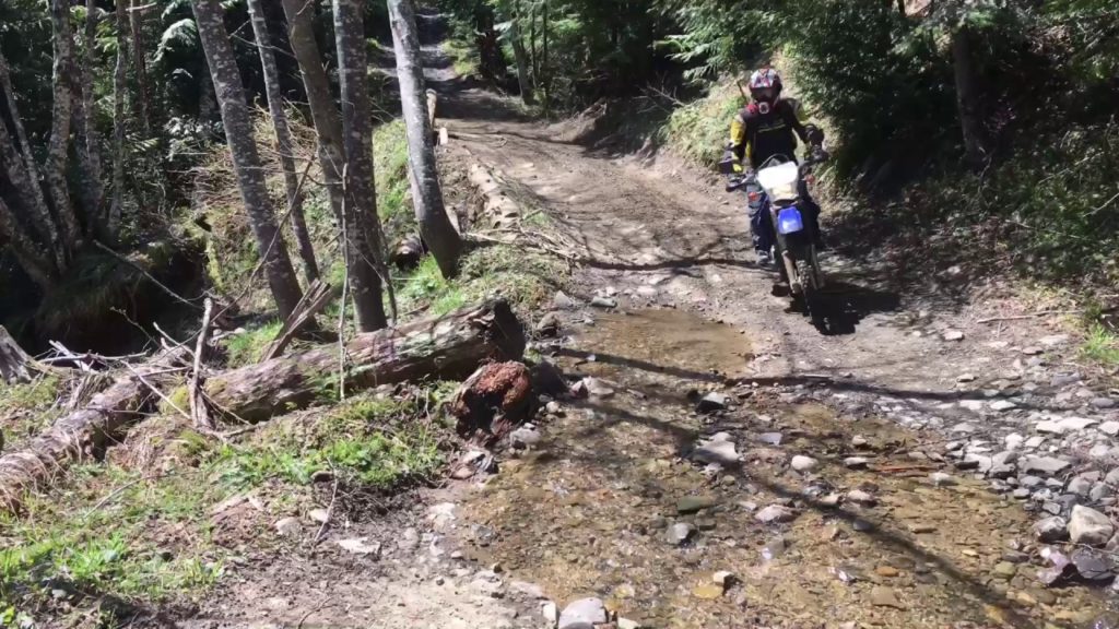 Trails in the middle of the forrest and mountains