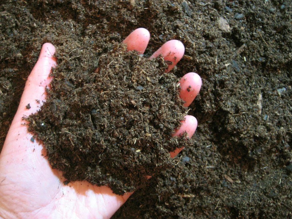 soil