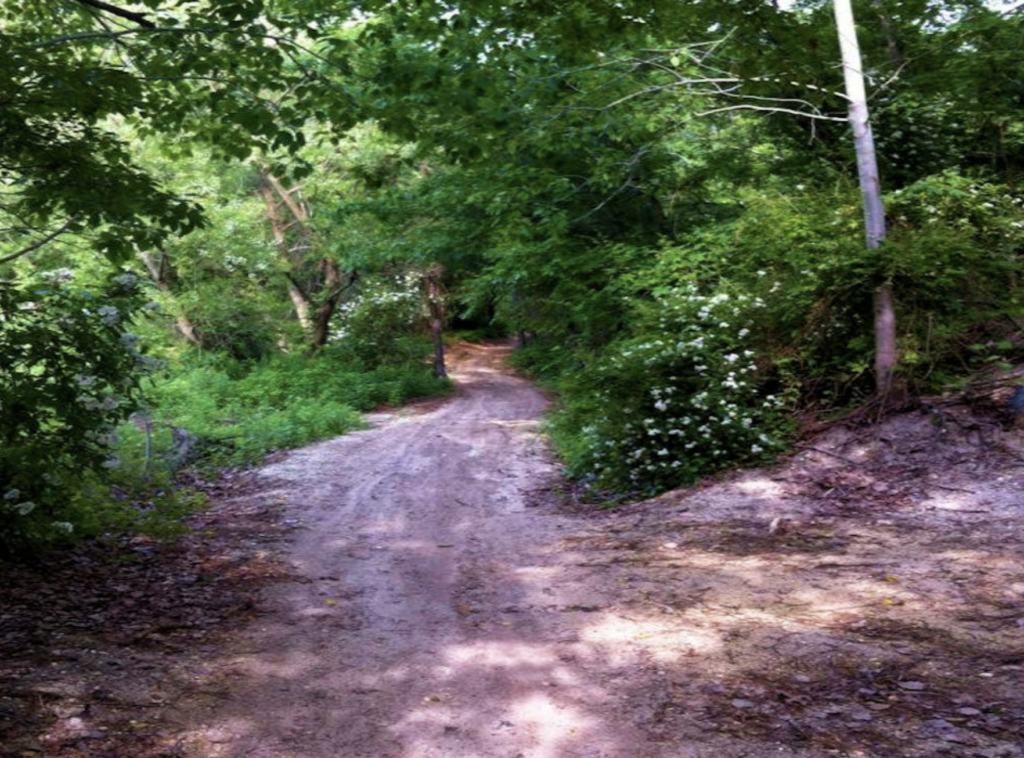 Photo of Ready to Ride, Off-Road Palls trail in New Jersey