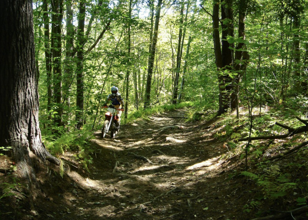 Photos of Beartown State Forest trail Massachusetts