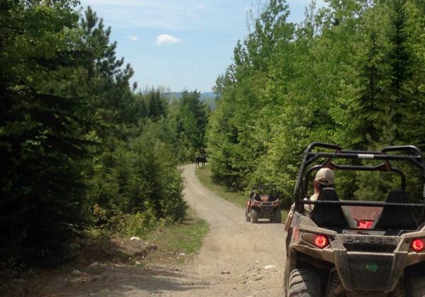 Moose Loop Trail in Maine