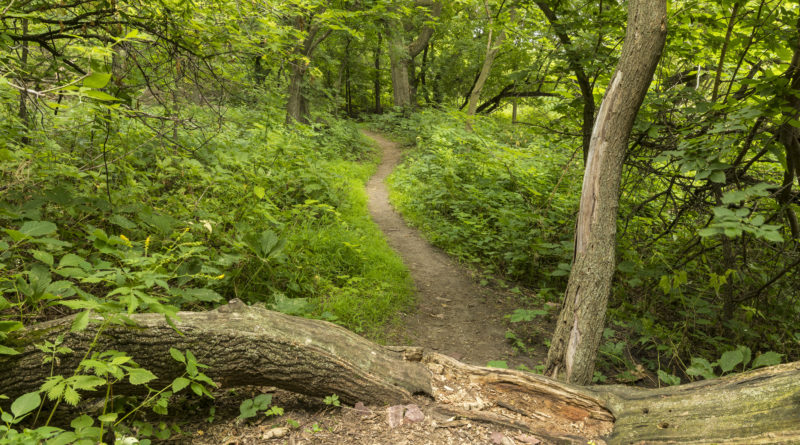 Photo of Addison County