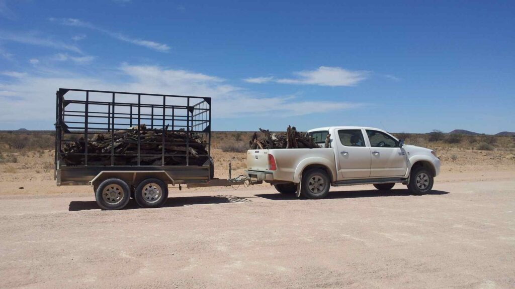 Pickup truck and trailer